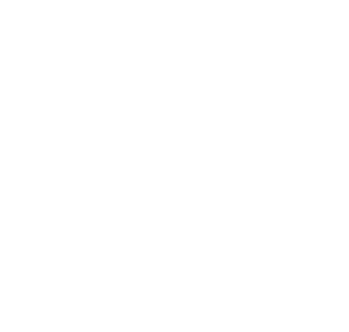 TIG Development